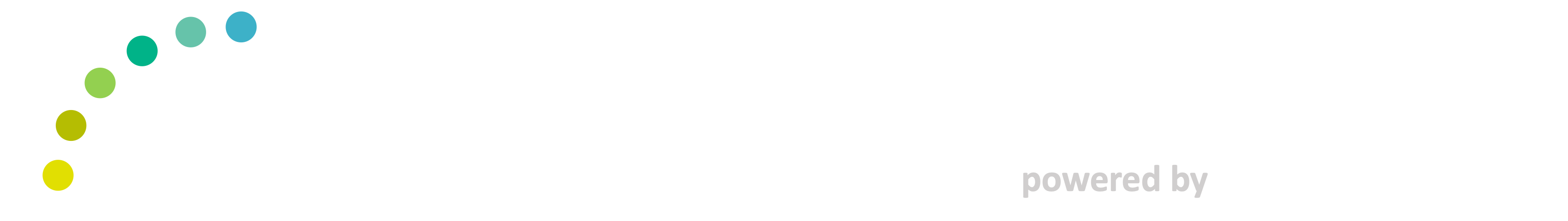 SmartRocks